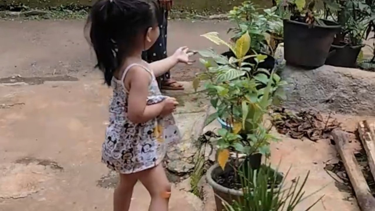 Naura nemenin nenek berkebun malah bikin rusuh
