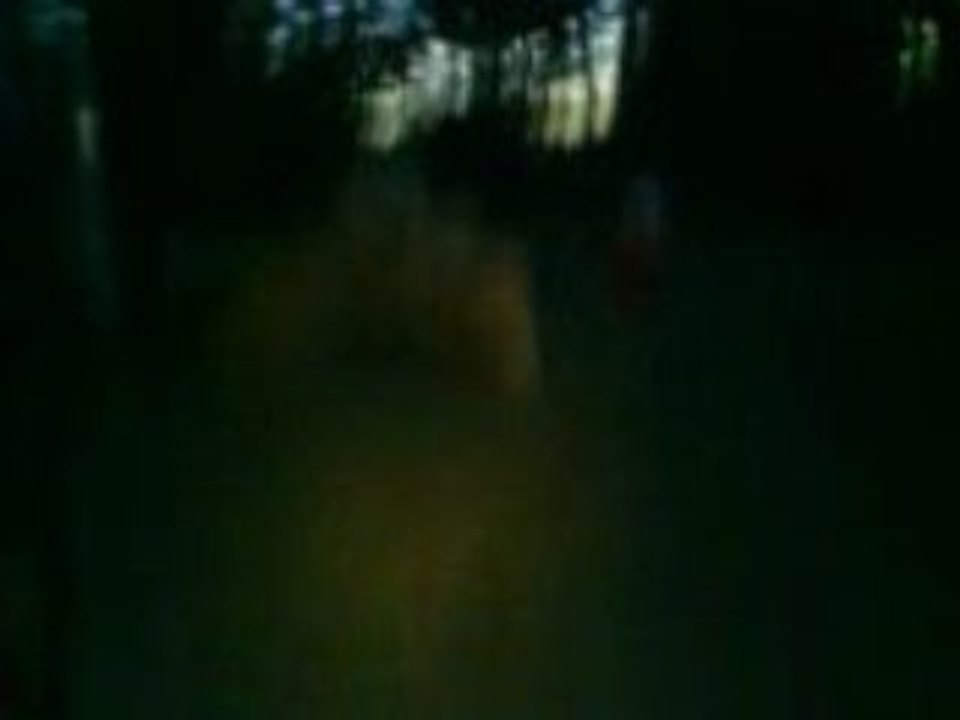 Le mur de paille (4)