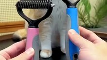 Dog & Cat Deshedding Brush – Gentle, No-Scratch Detangler
