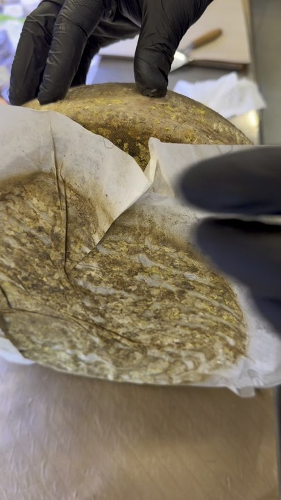 🧐 À VOTRE AVIS… QUEL LAIT SE CACHE DERRIÈRE CETTE TOMME ?