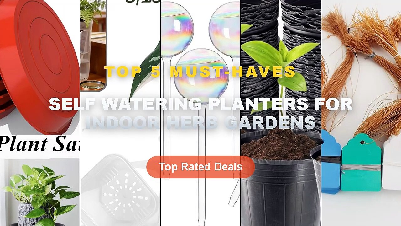 Why Everyone Is Buying Self Watering Planters F...