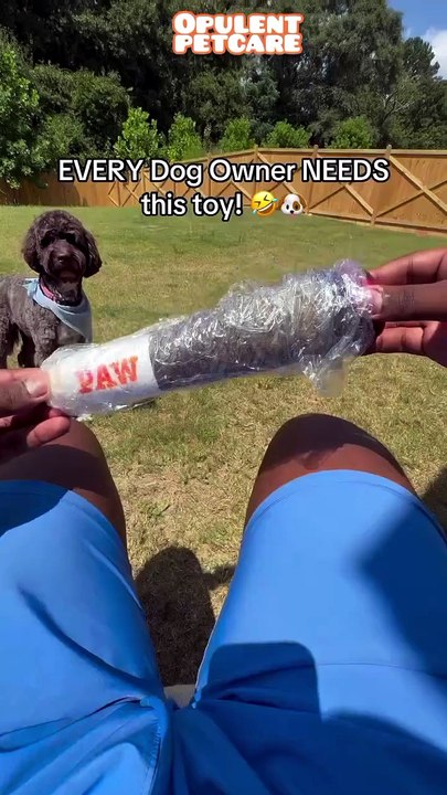 Every Dog Owner NEEDS This Toy! 🐾🧡