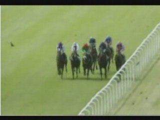 Anglesey Stakes Gr3 130708 Bushranger