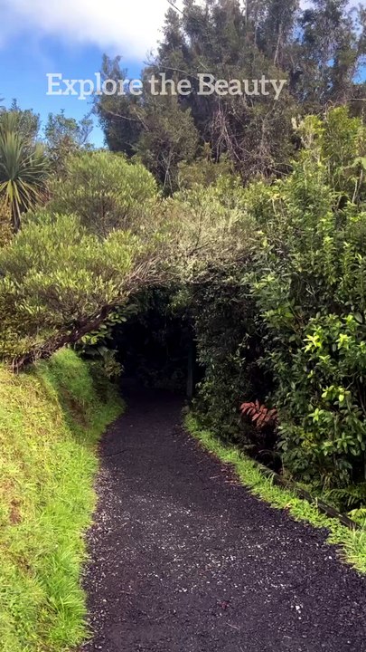 Green Path | Explore the Beauty #greenpath