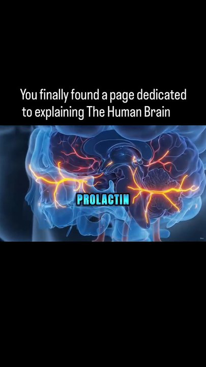 What Happens to the Male Body After Orgasm? 🧠 | Biology Explained