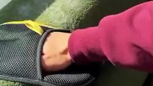 Pet Hair Cleaner Glove/Mitt – Removes Pet Hair from Furniture & Carpet in Seconds