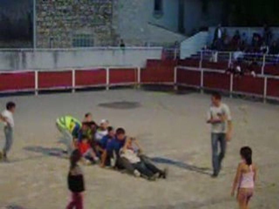 fete au village