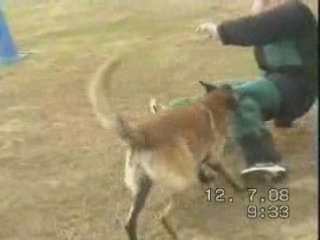 Blade de la Forge aux Sept Flammes