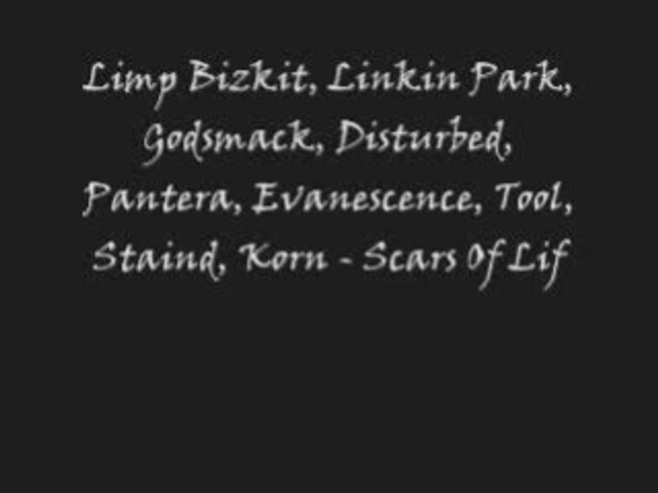 Limp Bizkit Linkin Park Godsmack Disturbed Pantera Evanensce