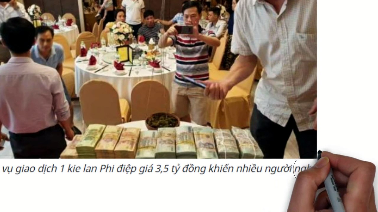 Cây lan 3,5 tỷ và Bí ẩn đằng sau - Kiến thức kinh doanh thú vị