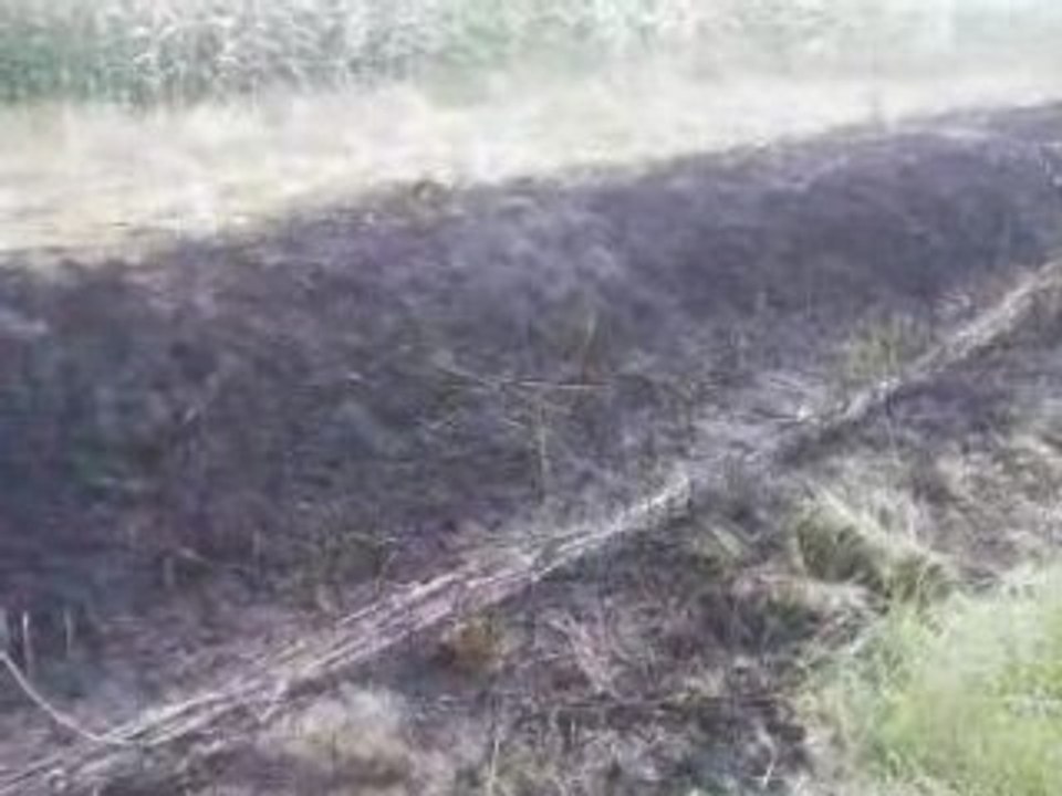 lieu du sinistre a weyersheim le l'endemain