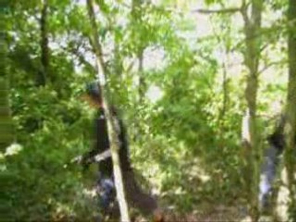 Ninja 2
