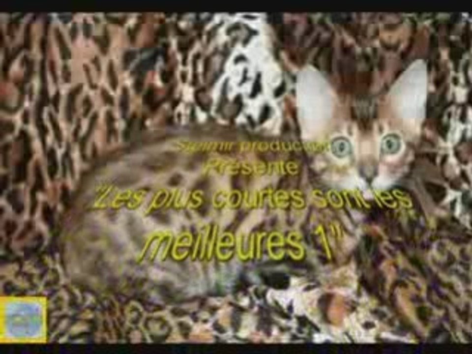 Les plus courtes sont les meilleures 1
