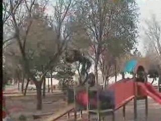 Trailer sampler moreno y jose