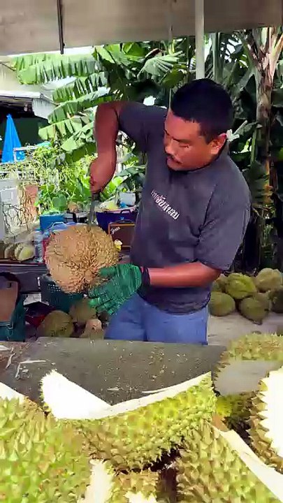 FDownloader.Net_AQPbqsdh0H9tNJfhI3__wzW-6byUxJ7cHCXOCMdUklk9CeGzS_KnfHCusAEsUcJ_GhL6P8SIBF8hRaAPhHK_bxcpACuOCJ5CawMeNYU5uQ_360p_(SD)