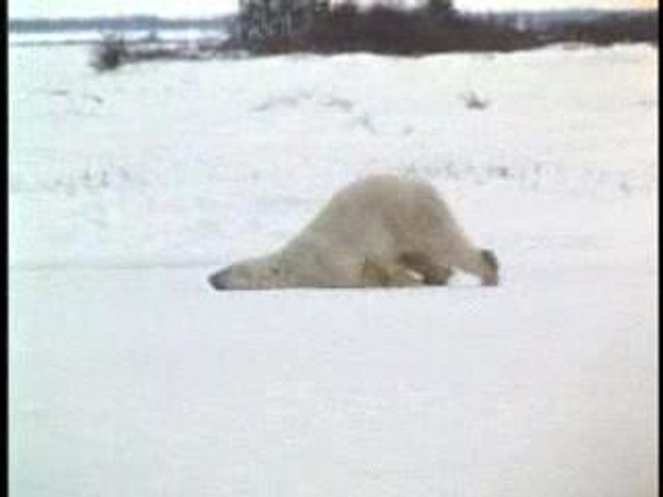 Going to work Monday