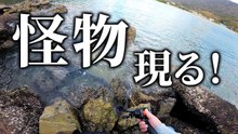 【穴釣り】怪物 現る！同じ穴で大物が連発した！