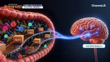 장 건강이 나쁘면 '살'이 찐다?! 식욕까지 조절하는 장;;