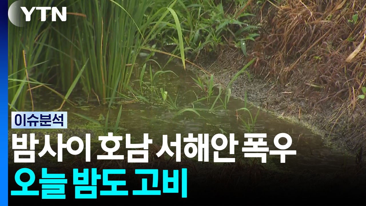 밤사이 전남 서해안 '극한 호우'...오늘 밤도 고비 / YTN