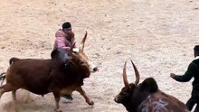 Big fight