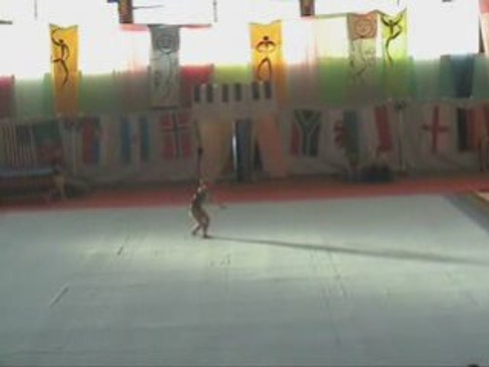 Fete gym 2008 - Mouvement de competition