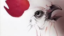 "One Brush. One Breath. A Rooster Is Born."