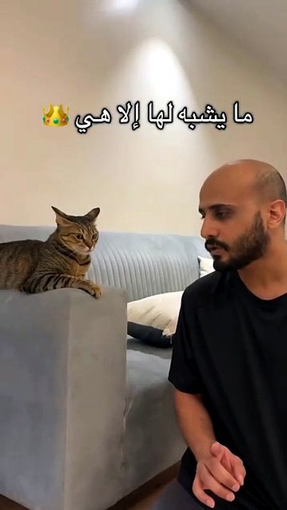 ههه جميل