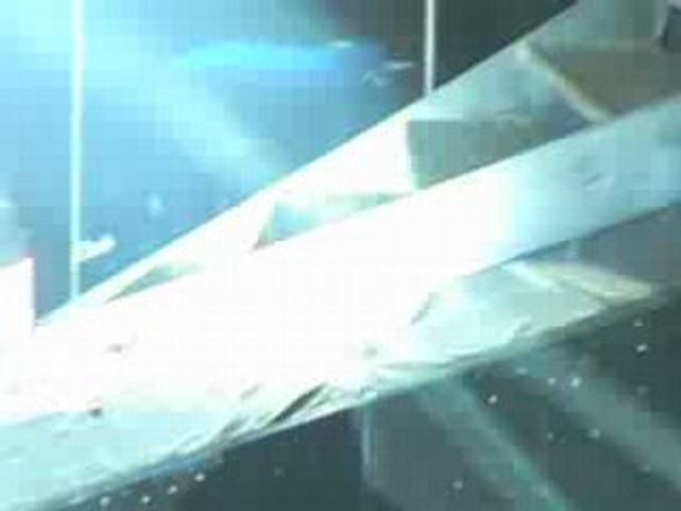 Wo Sind Eure Hande - Geneve - 12.07.08