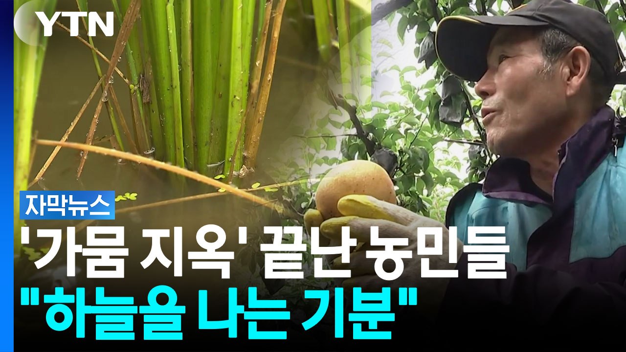 영남에 말 그대로 '단비' 내렸다...농민들 "하늘을 나는 기분" [자막뉴스] / YTN