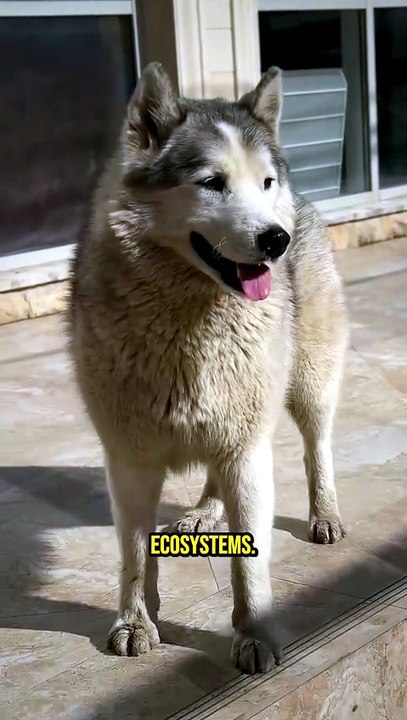 💥 Fear's Secret Ecosystem Power!