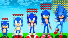 Which Sonic Has the Most Health in Minecraft? (Sonic Movie Mod)