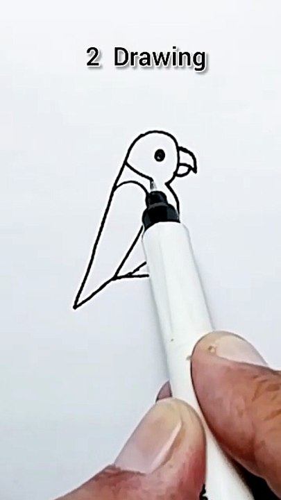 Bird drawing 🐦