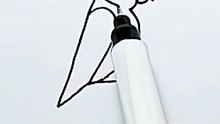 Bird drawing 🐦