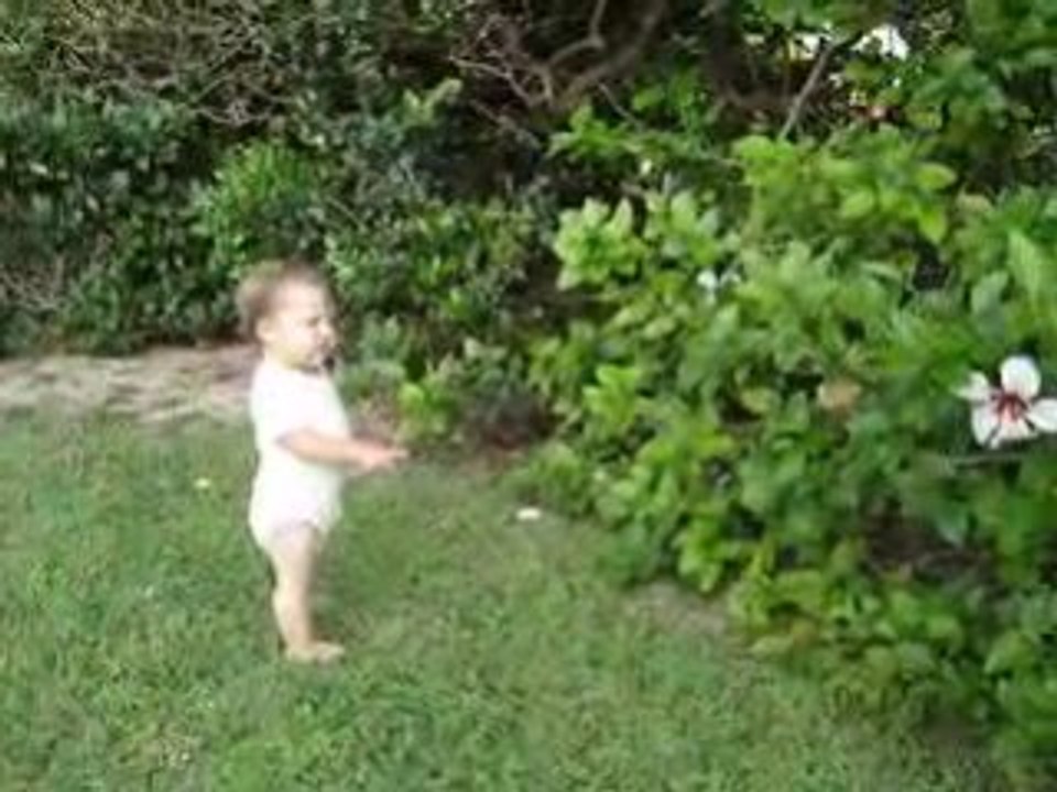 Manoa danse