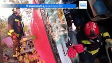 Венгрия: авария автобуса из Польши. Пока известно о 12 погибших