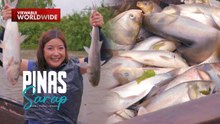 Iba't ibang isdang karpa, nahuli ni Kara David sa Candaba, Pampanga! | Pinas Sarap