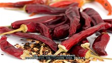 Why Do Humans Eat Chili? The Painful Truth Behind Our Spicy Obsession