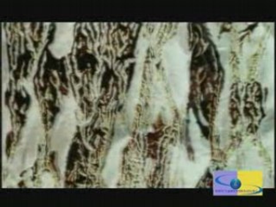 Ozcan Deniz - Don Desem