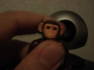 Cookie mène l'enquête!!!