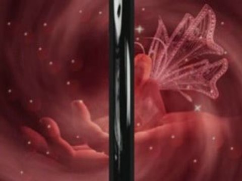 Quelques belles images sur Evanescence My Immortal