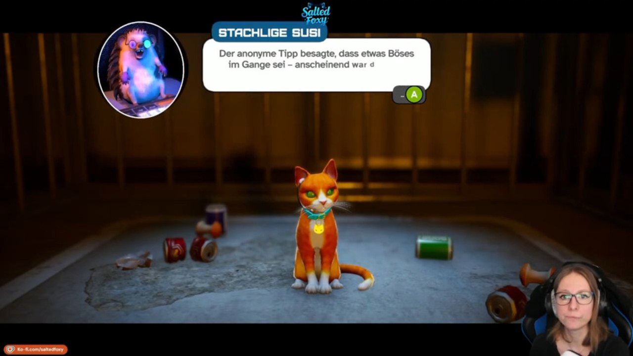 🦊 POV: Deine Katze geht ins Gym... | Schröding...