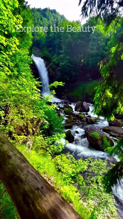 Green Beauty | Explore the Beauty #beauty