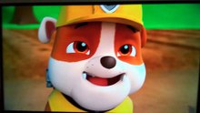 Closing To PAW Patrol Ready Set Get Wet 2015 DVD