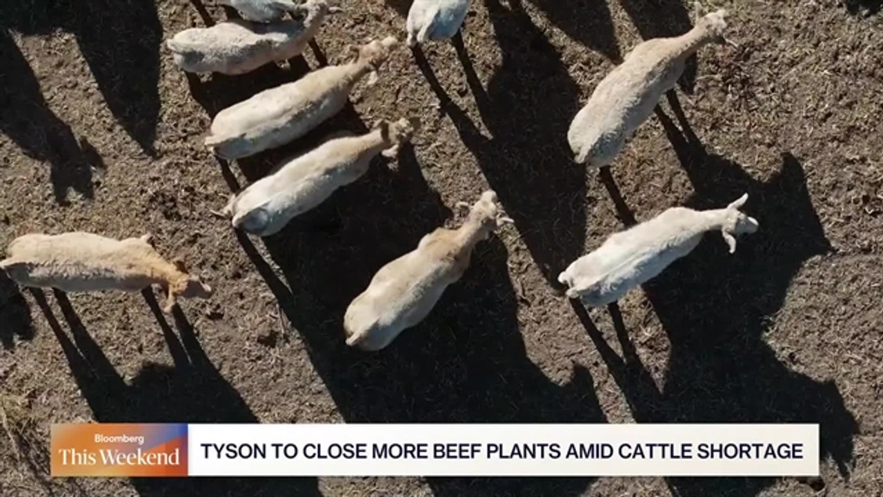 Beef Prices Stay High as US Cattle Supply Shrinks