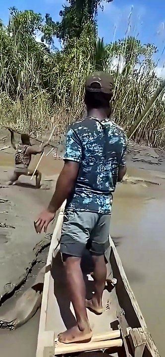 Archery crocodile.
