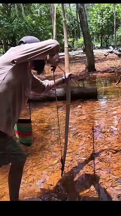 Archery and fish spearing.