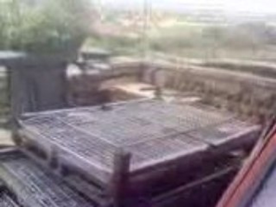 MOV00006