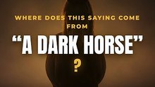 Where does "a dark horse" come from?