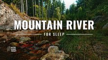 River White Noise · Calm Mountain River for Sleep