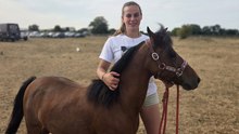 Cette jument-miniature est une championne du monde : rencontre avec son éleveuse près de Dieppe